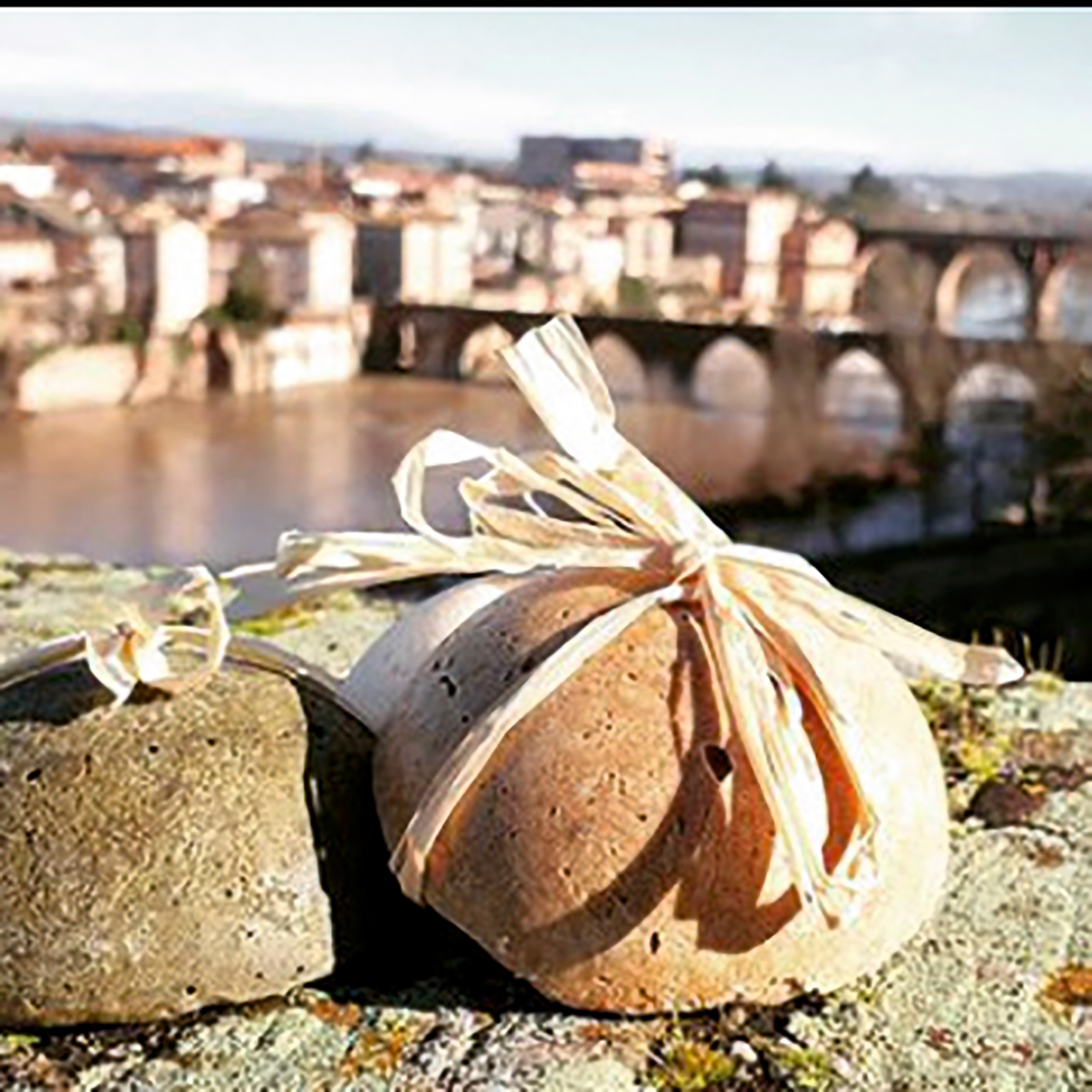Albi insta, les comptes qui ont retenu notre attention