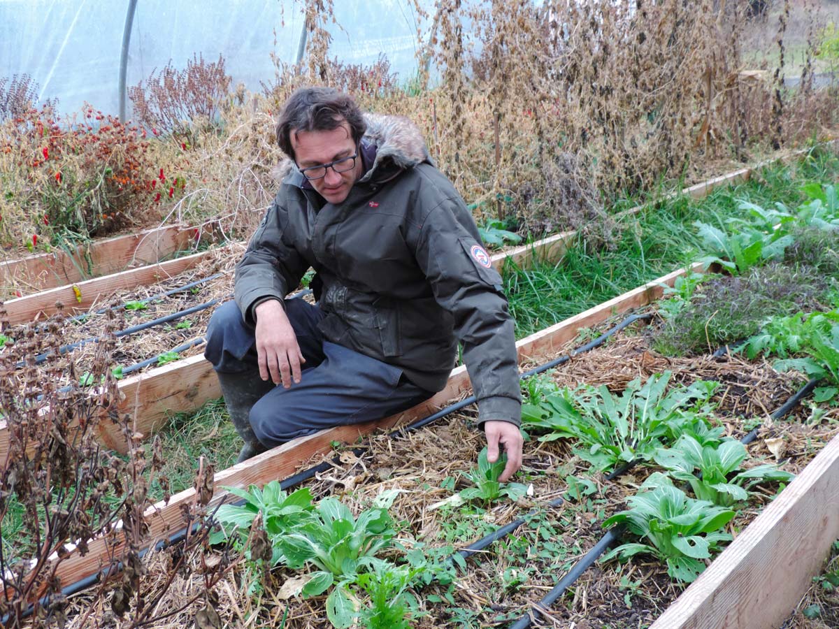 Il y a quelques années, Jérôme et Keiko ont décidé de changer radicalement de vie : repartir à zéro, se lancer dans le maraîchage bio et vivre de leur passion.