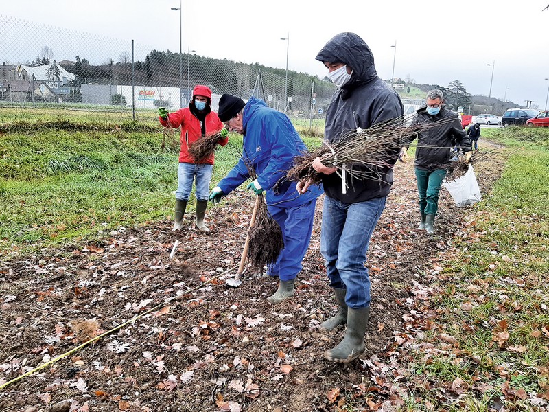 Des haies pour la biodiversité