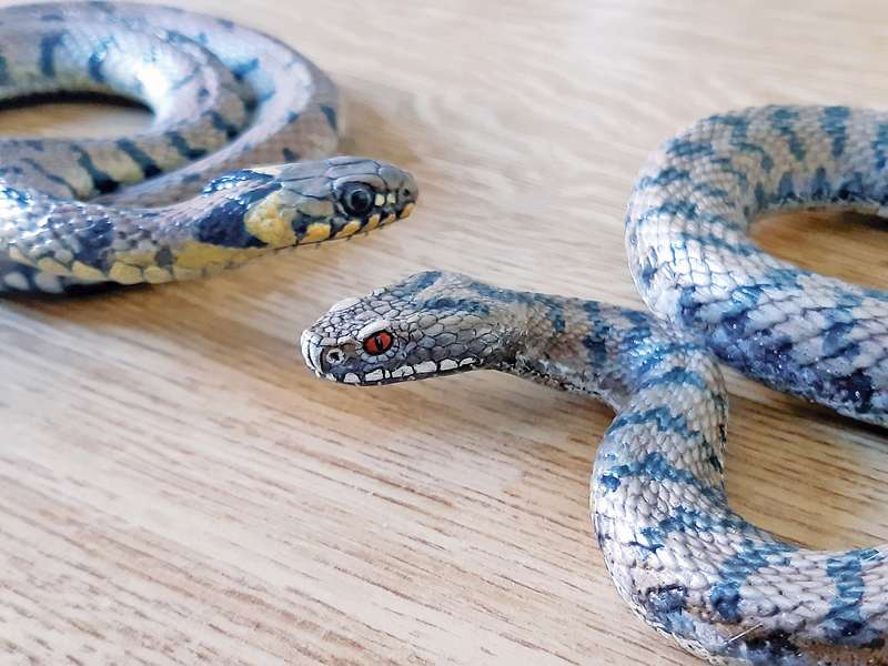 Des reptiles et amphibiens plus vrais que nature 