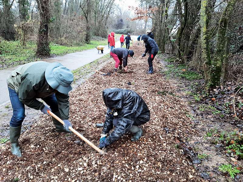 Plantations et entretien des espaces de nature