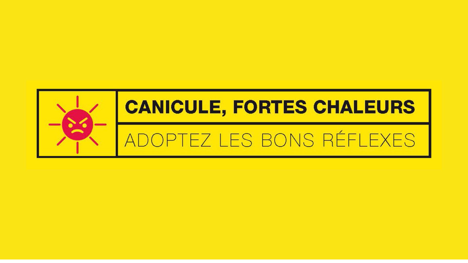Conseils pour affronter la canicule