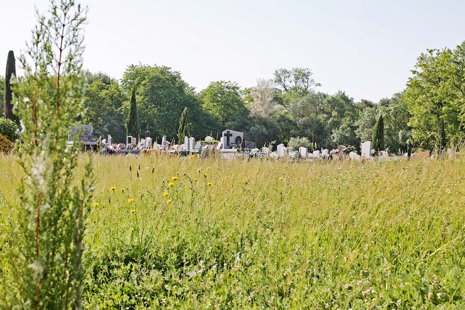 Cimtière des Planques