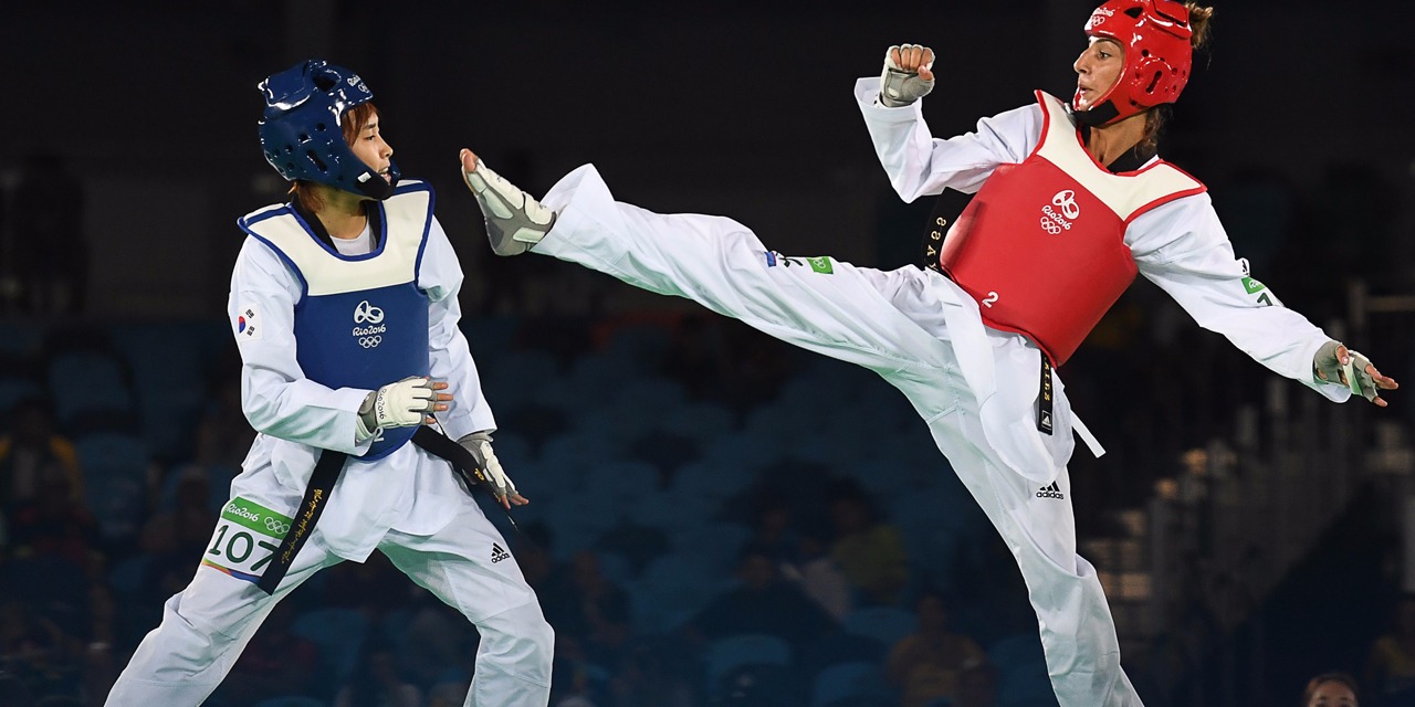 19ème Open International Taekwondo d'Albi