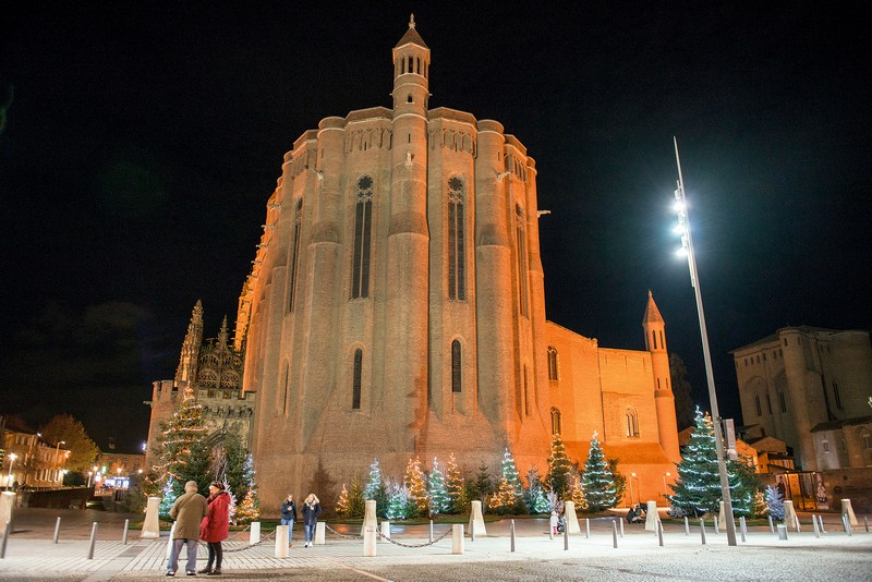 Noël, les premières décorations végétales arrivent