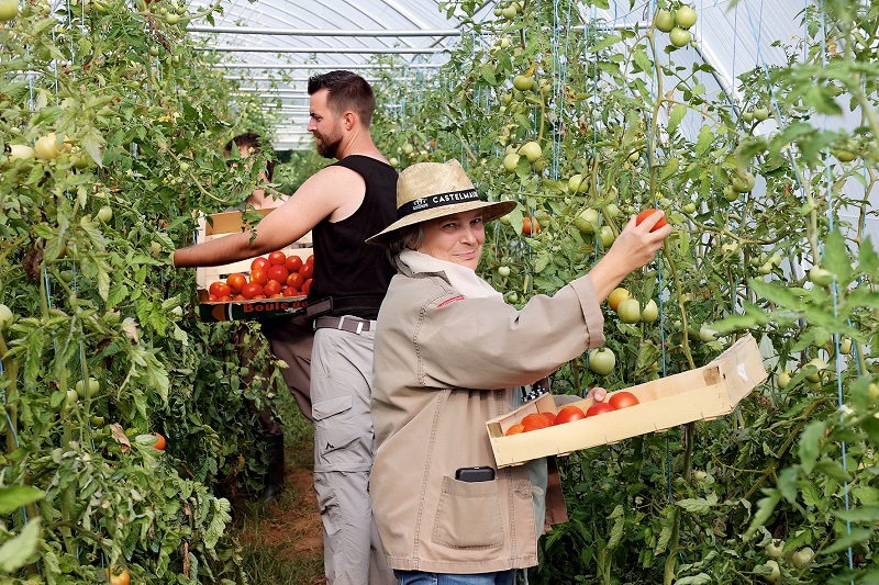 Un projet pilote entre un jardin d’insertion et une cuisine centrale
