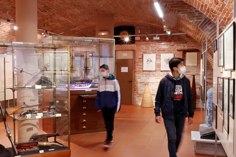 À la découverte de la collection du musée Lapérouse