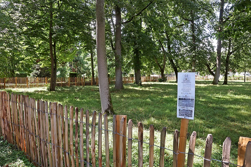 « Les agents du service patrimoine végétal et environnement avaient constaté une forte dégradation des sols qui avait des conséquences sur l’état des arbres », explique Nathalie Borghese, adjointe au maire déléguée au patrimoine végétal. La surfréquentation combinée au niveau d’entretien de ces espaces était en effet à l’origine de cette situation défavorable au développement racinaire et à l’action des micro-organismes. L’eau avait également du mal à pénétrer la terre. Pour permettre au sol de se régénérer