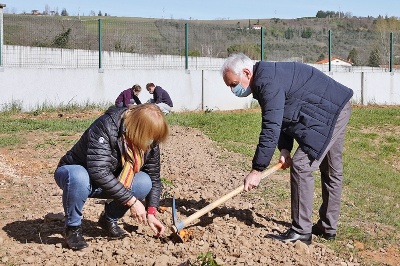 Plantation d’arbres : un acte citoyen