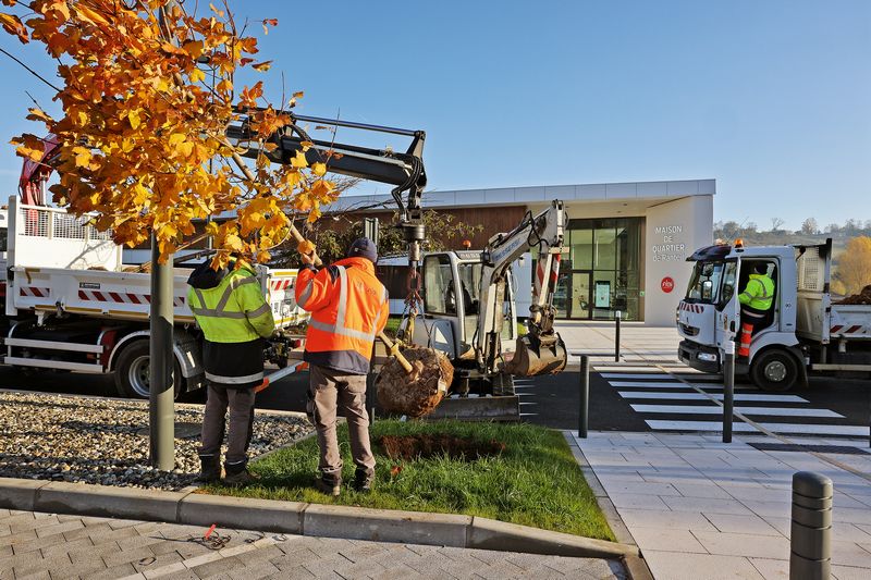 500 arbres plantés chaque année à Albi