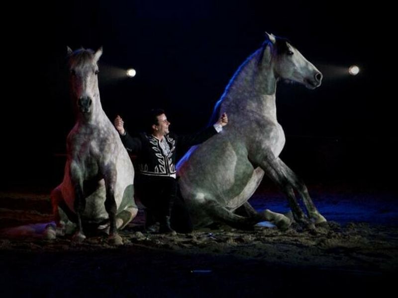 Tous en selle au salon du cheval