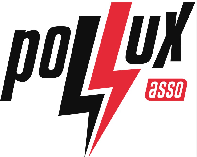 Un nouveau logo pour Pollux Asso !
