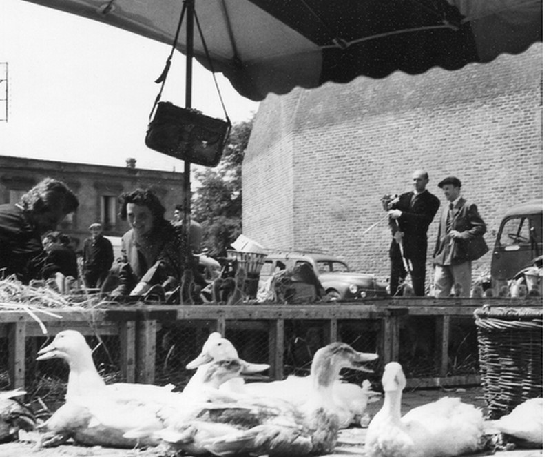 Une pépite en images sur les marchés albigeois