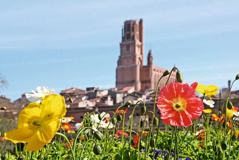 C’est le printemps !