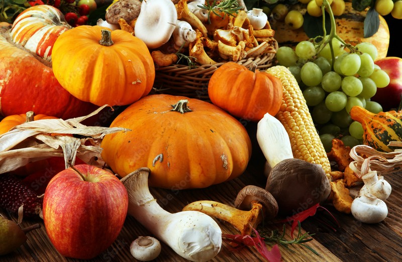 Cuisine d'Albi : un menu 100% local