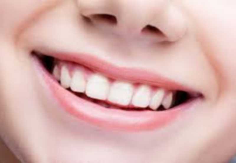 croquer la vie à pleine dents