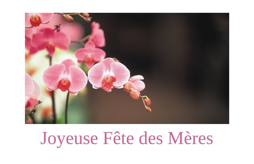 Le Conseil municipal fête les mamans
