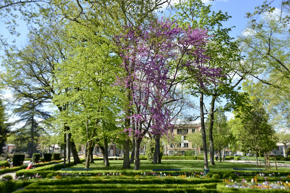 Parc Rochegude ou l’importance de prendre l’air 
