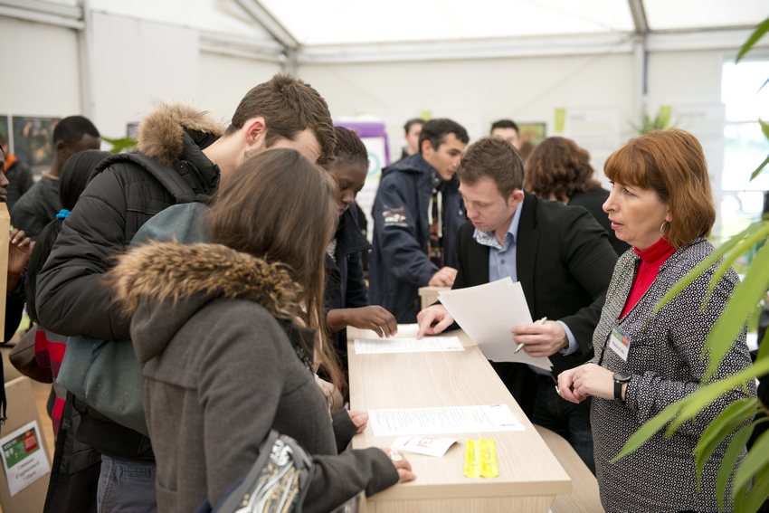 Albi recrutement