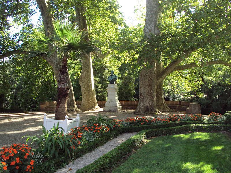 Les arbres 
