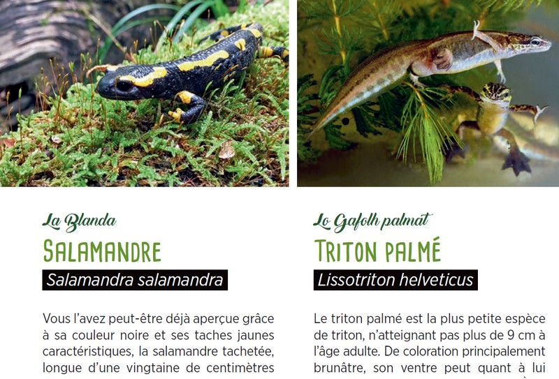 Un Atlas de la Biodiversité