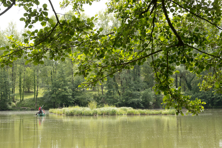 Le radeau végétatif sur la base de loisirs de Pratgraussals permet à la biodiversité de s’épanouir à Pratgraussals.