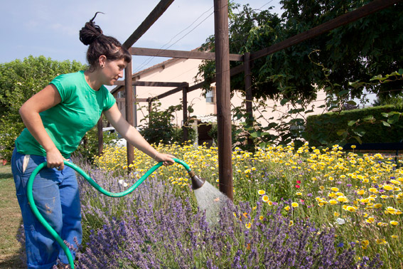 Le domaine de Saint Viateur à Cantepau est constitué de jardins familiaux et d’un espace géré par l’association Regain Action.