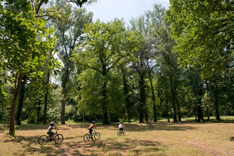 La base de loisirs de Cantepau