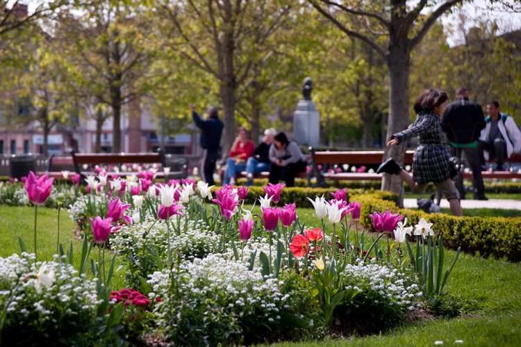 Les parcs et jardins d’Albi 