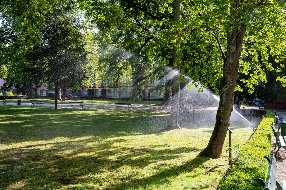 Parc Rochegude