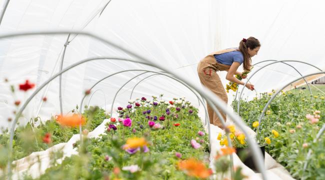 Le travail saisonnier