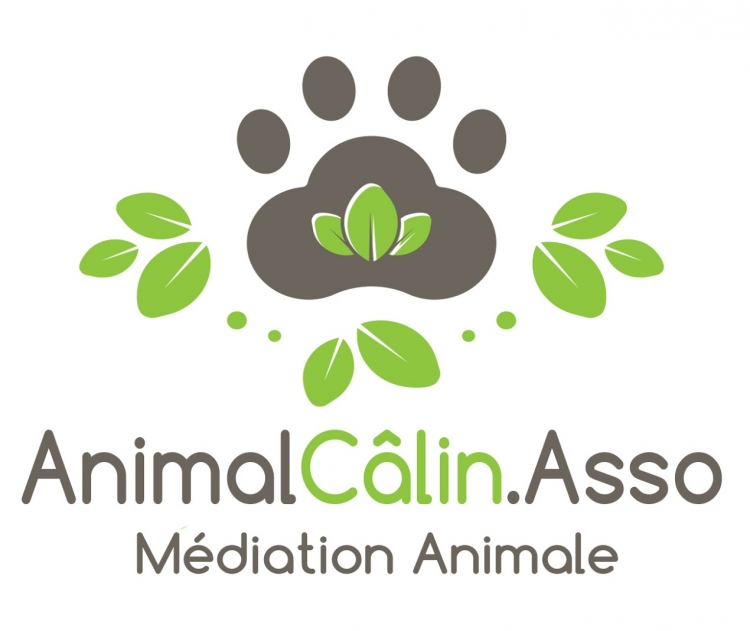 Annimal Câlin Asso