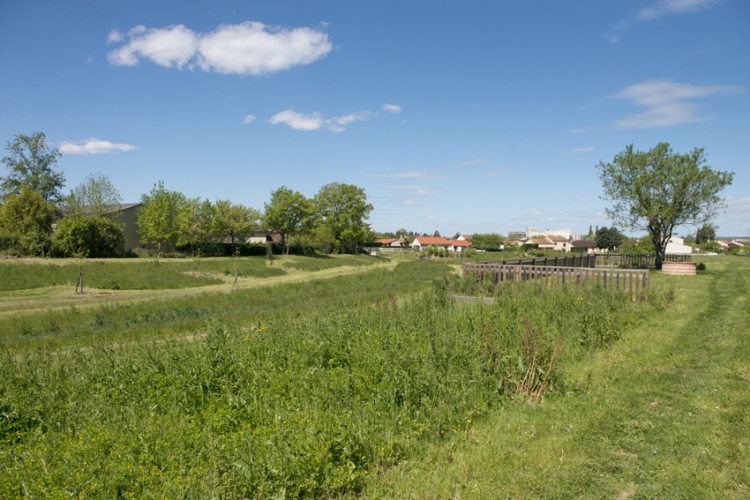 Bassin du Marranel