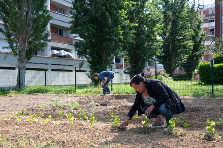 Jardins partagés de Lapanouse