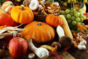 Cuisine d'Albi : un menu 100% local