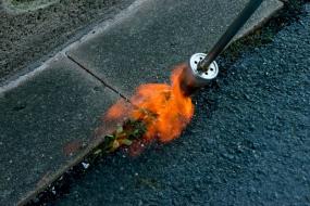 Les équipes de la ville utilisent la bêche ou le feu pour détruire les mauvaises herbes.