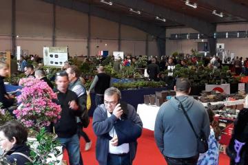 Congrès européen du bonsaï au parc expos d’Albi ce we! 19 pays représentés, une exposition remarquable, des animations, des arbres récompensés, et notamment un «local », une réception en salle des États, une soirée officielle à Pratgraussals..... Merci au Bonsaï-Club de l'Albigeois, au président Jean-Marie Couderc et a tous les bénévoles pour cette organisation sans faille!