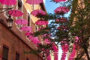 Cette année encore, Octobre sera rose à Albi.....