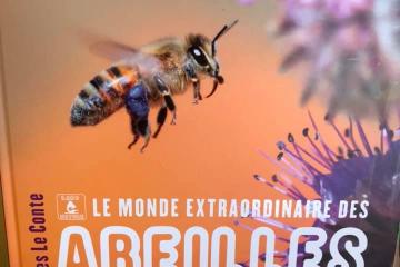 Foire au miel 2019
