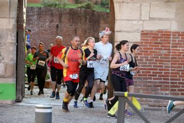 Albirun 2019