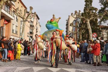 Carnaval d'Albi 2024 