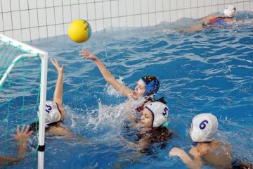 Water-polo - Carré 10>15 ans