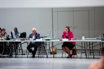 Conseil municipal du 27 mai 2020