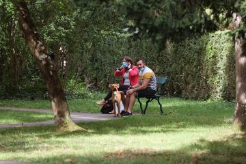Cours canin