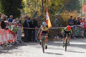 Cyclo-cross d'Albi - SN Diffusion