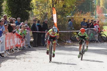 Cyclo-cross d'Albi - SN Diffusion