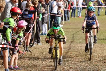 Cyclo-cross d'Albi - SN Diffusion