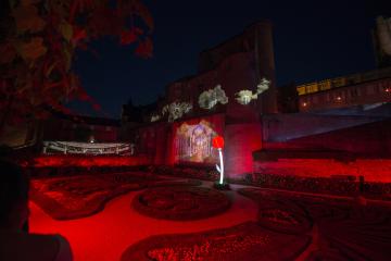 Dans les pas de Toulouse-Lautrec, balade lumineuse