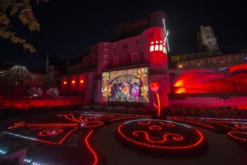 Dans les pas de Toulouse-Lautrec, balade lumineuse