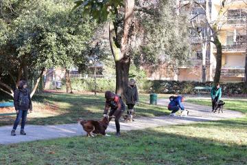 Education canine 